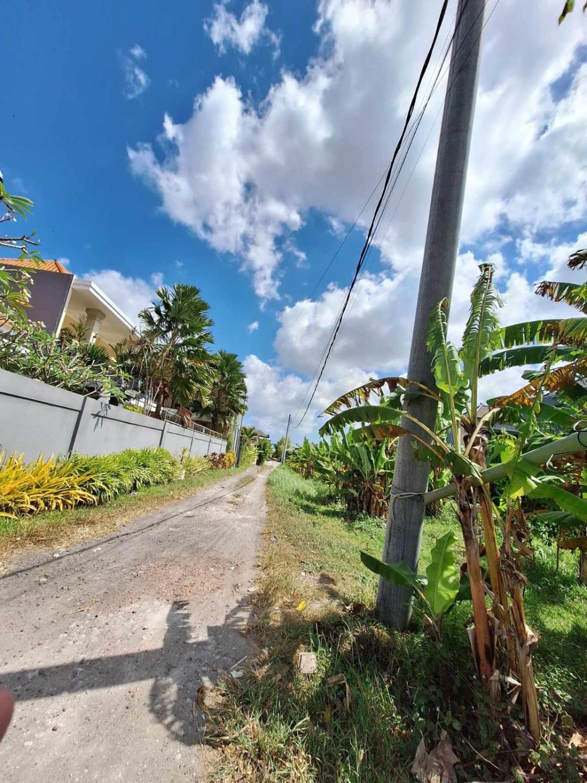 Bonewood Guesthouse Canggu Kültér fotó